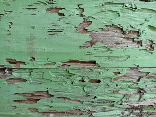 Peeling Green Paint on Aged Wooden Wall Surface. Close-up of peeling green paint on an old wooden wall showing weathered texture, decay, and natural rustic charm