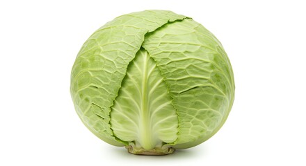 Fototapeta premium Cabbage Head, Green Vegetable
