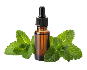 Amber glass dropper bottle with fresh mint leaves isolated on transparent background
