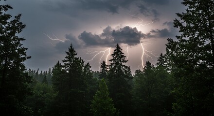Lightning Over Forest Landscape