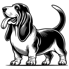 Basset Hound Dog Illustration.