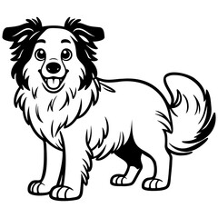 Border Collie Dog Illustration.