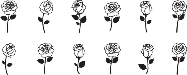 Rose Sketch Collection in Black and White.