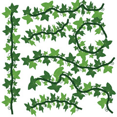 Green Ivy Vine Border Vector Clipart Decorative Design