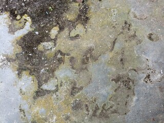 Grungy Mossy Concrete Surface with Dirt and Footprints. Weathered concrete surface with moss, dirt stains, and footprints. Grunge texture ideal for backgrounds or urban decay themes
