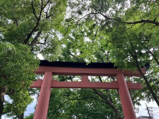 五月の鳥居