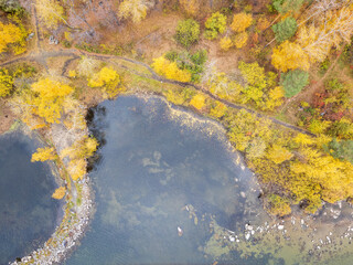 Colorful autumn forest with trees on the shore of a blue lake - top aerial view.