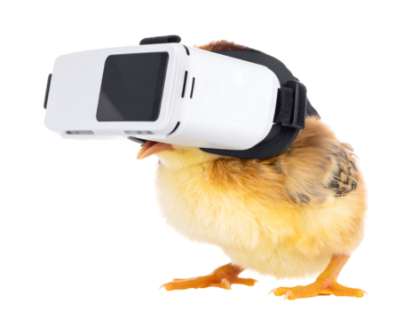 Fluffy Yellow Chick Wearing VR Headset on Transparent Background