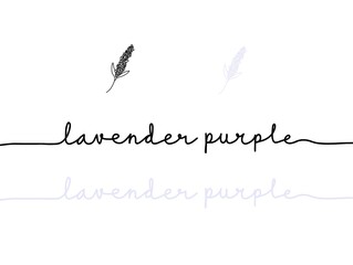 Lavender purple color shade monoline text. Hand written one line continuous letter lettering word lavender purple banner. Line art lavender purple short phrases typography calligraphy.
