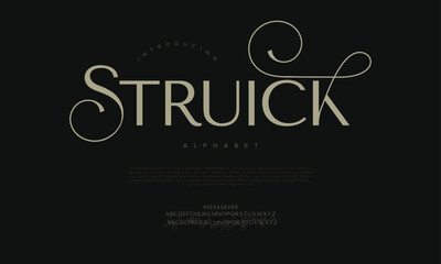 Modern serif font with sophisticated curves and strokes, designed for logos, branding, and editorial use