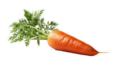 Vibrant Carrot: A close-up shot of a freshly picked carrot, showcasing its bright orange hue and lush green foliage. It's a celebration of freshness and health.