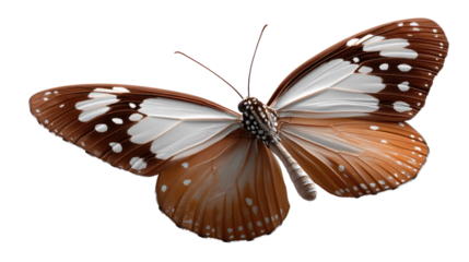 Butterfly in Flight: Capture the delicate beauty of a butterfly, its wings spread wide, showcasing intricate patterns and vibrant colors in an inspiring macro shot.