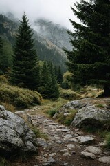 Obraz premium Misty Mountain Trail: A Serene Stone Path Through Evergreen Woods