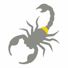 scorpion isolated on white