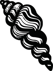A black and white sea shell illustration line art of a coloring page