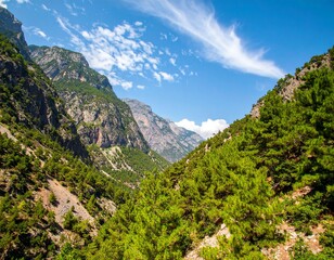 The green trees towering over the mountain gorge and the wide sky create an impressive sight.