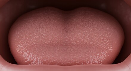 Fototapeta premium Human Tongue Anatomy View