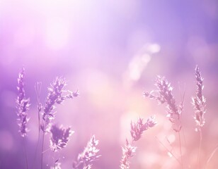 Obraz premium A serene background filled with vibrant lavender flowers in full bloom, creating a calming atmosphere, perfect for relaxation and tranquility.