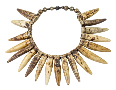 Brown and Beige Tooth Necklace on Black Background