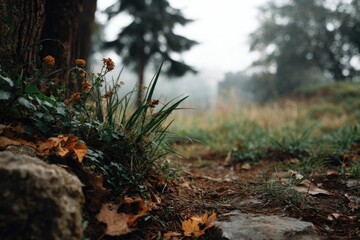 Obraz premium Autumnal Path: Subtle Blooms and Misty Woodland Scene