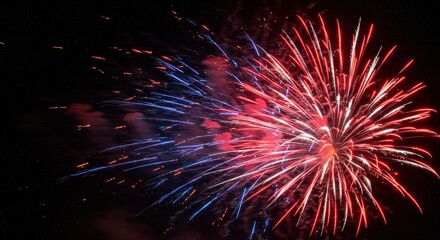 Colorful firework against black night sky