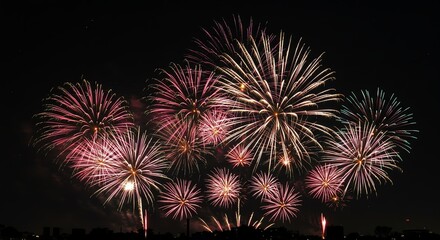 Firework Display in Night Sky