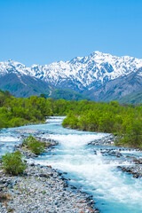 北アルプスと松川（白馬村・５月）	