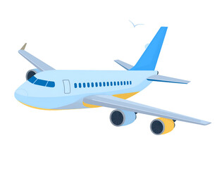 Fototapeta premium Airplane in flight