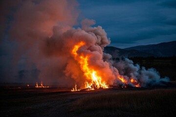 araffes are burning in a field with a mountain in the background