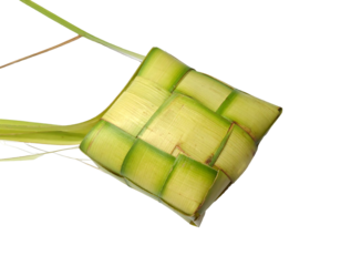 Light Green Woven Leaf Package on Black Background