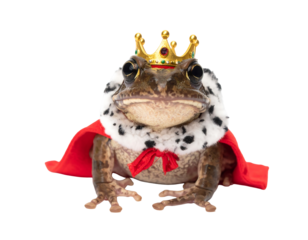 Regal Frog in Golden Crown and Red Cape