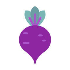 Isolated purple beet root illustration on solid black background