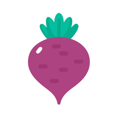 Isolated beet root vegetable illustration on plain background