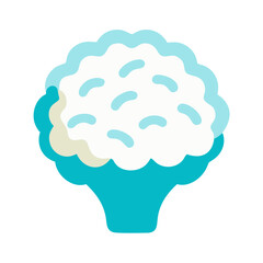 Flat illustration of cauliflower against a black background