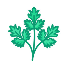Cilantro sprig vector graphic with symmetrical leaf arrangement