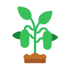 Green plant growing in soil against a black background