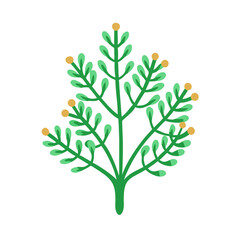 Stylized vector illustration of a green plant with berries