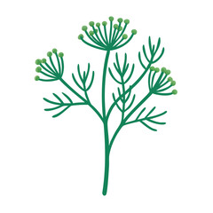 Stylized green dill plant illustration against a black background