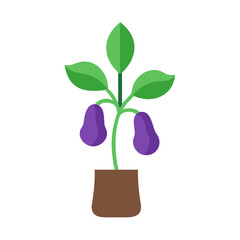 Stylized potted plant illustration with purple fruit on black