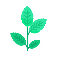 Three vibrant green leaves growing on single stem isolated