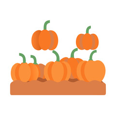 Flat graphic illustration of pumpkins in a fall patch