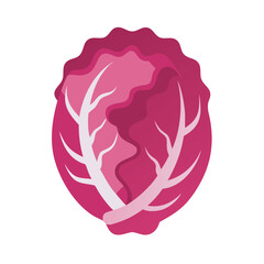 Stylized red cabbage illustration against a stark black background