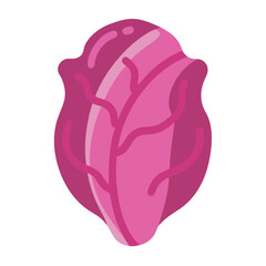 Flat vector illustration of a head of red cabbage