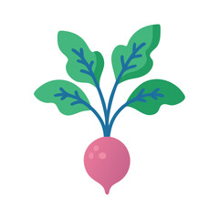 Illustration of a colorful, flat design beet with leaves