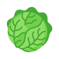 Isolated green cabbage head on solid dark background illustration