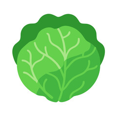 Flat style illustration of a green cabbage on black