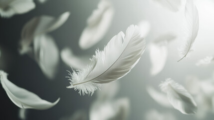 Naklejka premium White bird feathers drift softly in the air over a gray background, emphasizing delicacy and peace