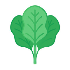 Flat vector spinach bundle isolated on a black background