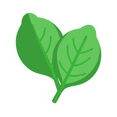 Fresh spinach leaves isolated against dark background, vegetarian ingredient