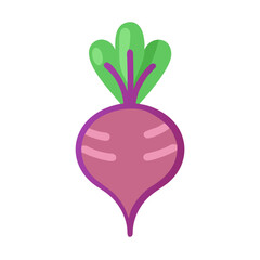 Isolated purple beetroot vegetable icon against a black background